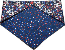 Load image into Gallery viewer, Medium Dog Bandana
