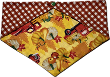 Load image into Gallery viewer, Medium Dog Bandana
