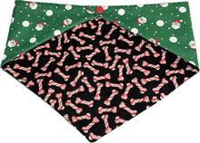 Load image into Gallery viewer, Medium Dog Bandana
