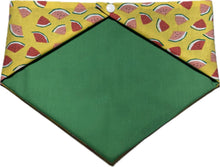 Load image into Gallery viewer, Medium Dog Bandana
