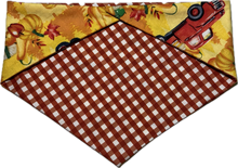 Load image into Gallery viewer, Medium Dog Bandana
