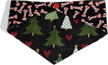 Load image into Gallery viewer, Small Dog Bandana
