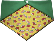 Load image into Gallery viewer, Medium Dog Bandana
