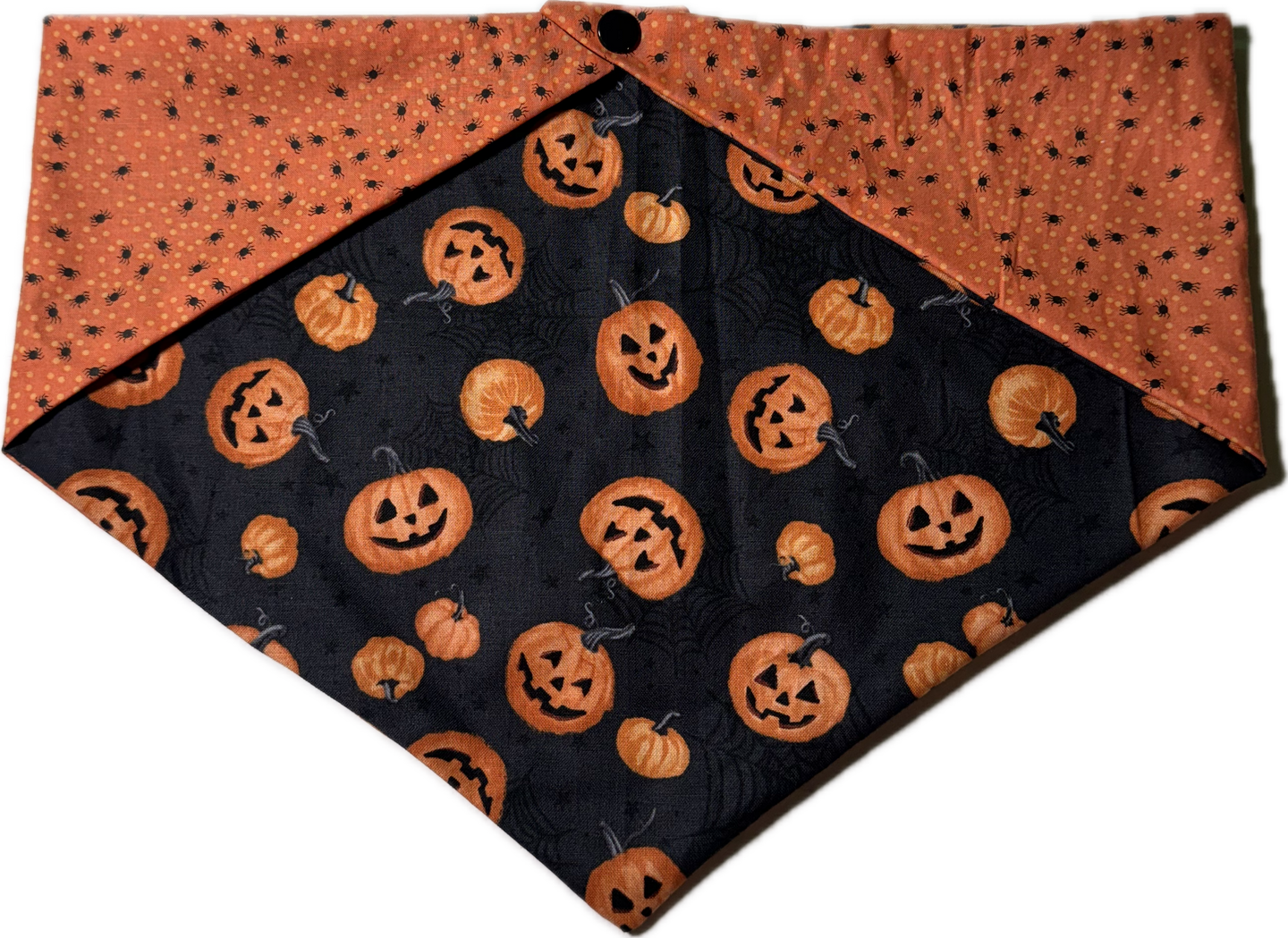 Large Dog Bandana