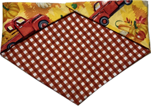 Load image into Gallery viewer, Medium Dog Bandana
