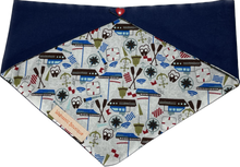 Load image into Gallery viewer, Sale~ Medium Dog Bandana
