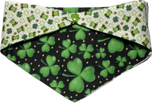 Load image into Gallery viewer, Small Dog Bandana
